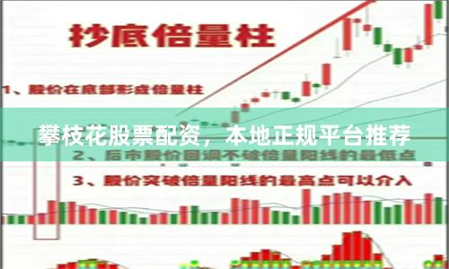 攀枝花股票配资，本地正规平台推荐